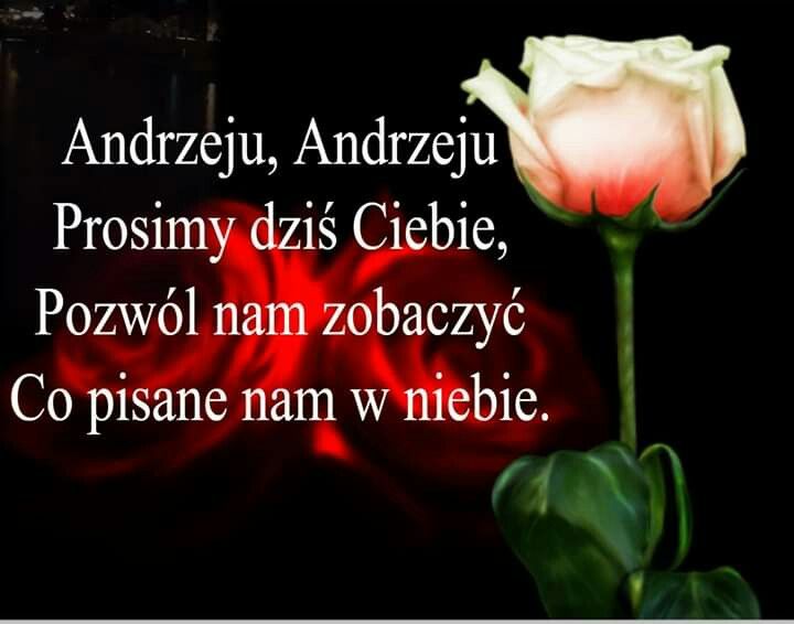Andrzeju, Andrzeju